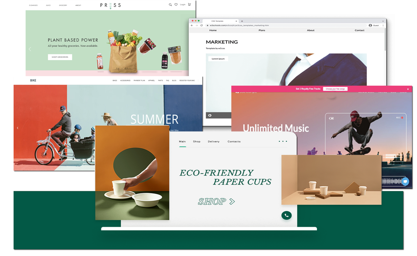 Business website development